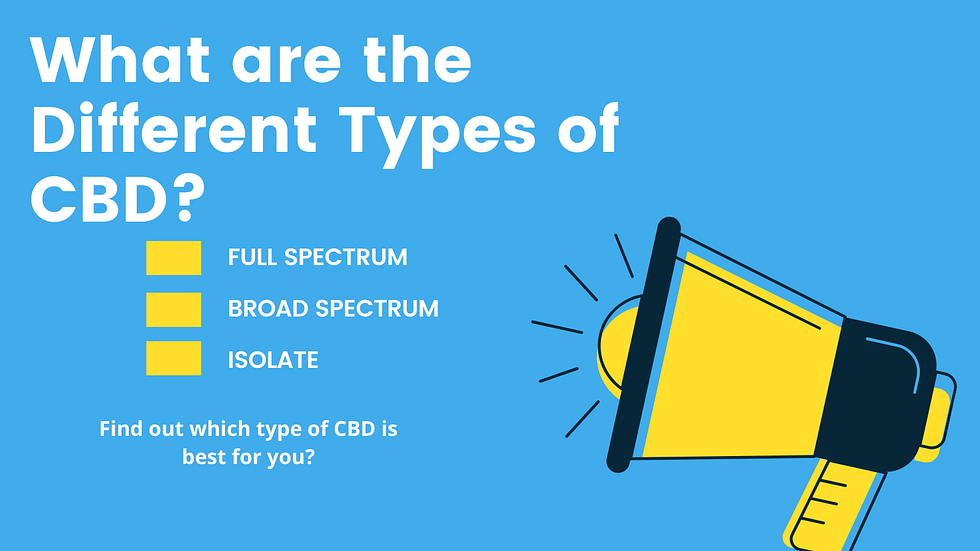 Which CBD is best for you?